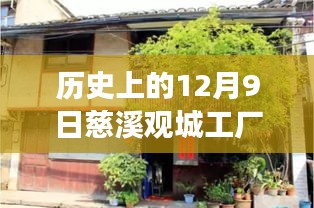 慈溪觀城工廠招聘盛況，舊日崗位與自然美景的探索之旅