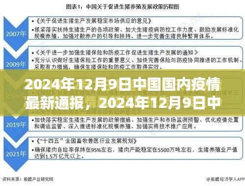 2024年12月9日中國疫情最新通報詳解，了解現(xiàn)狀與應對措施