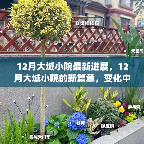 12月大城小院新進(jìn)展，變化中的學(xué)習(xí)，自信與成就感的綻放
