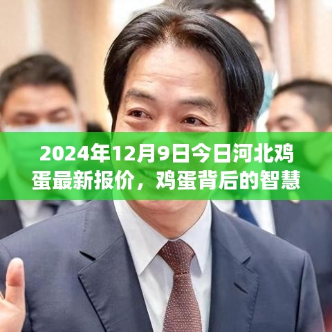 河北雞蛋最新報價背后的智慧，學習變化，自信成就未來（2024年12月9日）