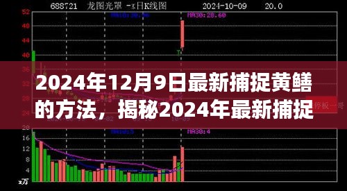 揭秘高效生態(tài)捕捉黃鱔新方法，2024年最新捕捉技巧分享。