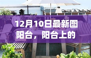 陽臺(tái)上的溫馨日常，陽光下的故事，12月10日的獨(dú)特時(shí)光