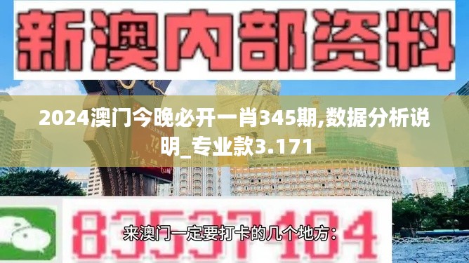 2024澳門今晚必開一肖345期,數(shù)據(jù)分析說明_專業(yè)款3.171