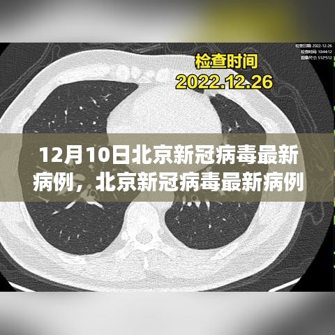 北京新冠病毒最新病例分析報告，深度解讀（截至12月10日）