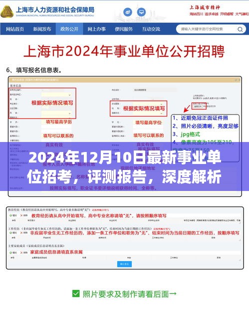 深度解析，最新事業(yè)單位招考測評報(bào)告（2024年12月版）