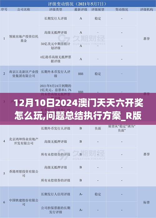 12月10日2024澳門天天六開獎怎么玩,問題總結(jié)執(zhí)行方案_R版9.896