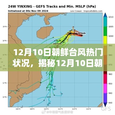 揭秘，12月10日朝鮮臺風(fēng)熱門狀況深度解析與三大要點探討