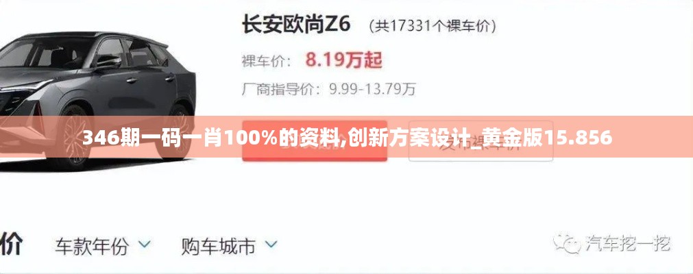 346期一碼一肖100%的資料,創(chuàng)新方案設計_黃金版15.856