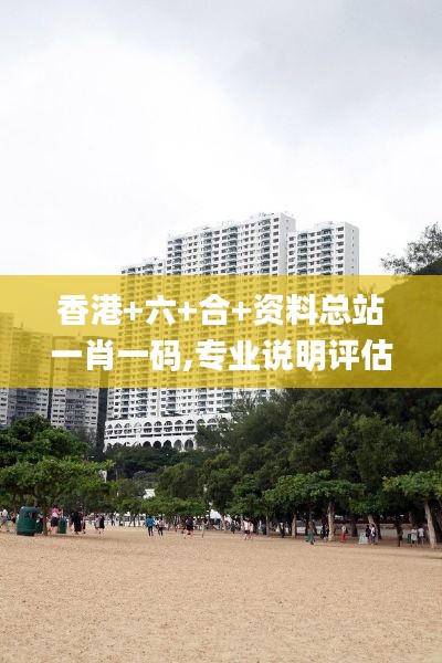 香港+六+合+資料總站一肖一碼,專業(yè)說明評估_10DM19.369