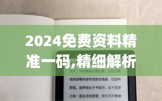 2024免費資料精準(zhǔn)一碼,精細解析說明_Kindle4.232