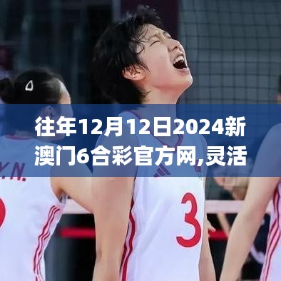 往年12月12日2024新澳門6合彩官方網(wǎng),靈活設計操作方案_HDR版8.222