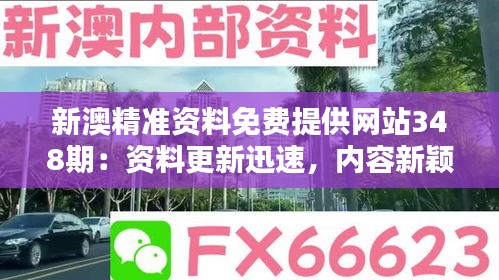 新澳精準(zhǔn)資料免費(fèi)提供網(wǎng)站348期：資料更新迅速，內(nèi)容新穎