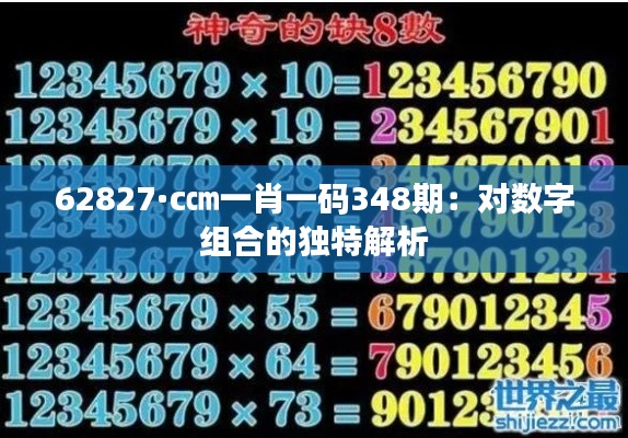 62827·c㎝一肖一碼348期：對數(shù)字組合的獨特解析