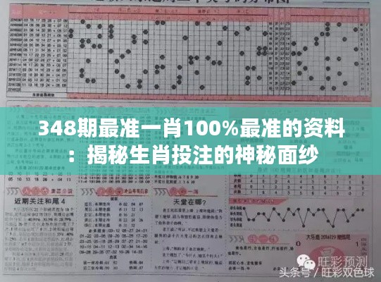348期最準(zhǔn)一肖100%最準(zhǔn)的資料：揭秘生肖投注的神秘面紗