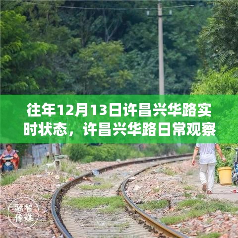 許昌興華路12月13日實時狀態(tài)回顧與日常觀察指南，獲取往年實時狀態(tài)解析