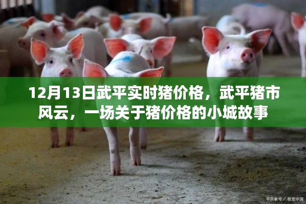 武平豬市風(fēng)云，小城故事中的實(shí)時(shí)豬價(jià)格揭秘