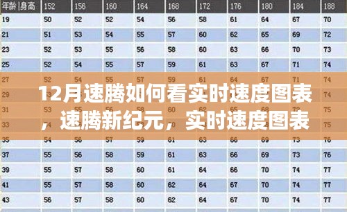 速騰新紀(jì)元，實(shí)時(shí)速度圖表科技重塑駕駛體驗(yàn)解析