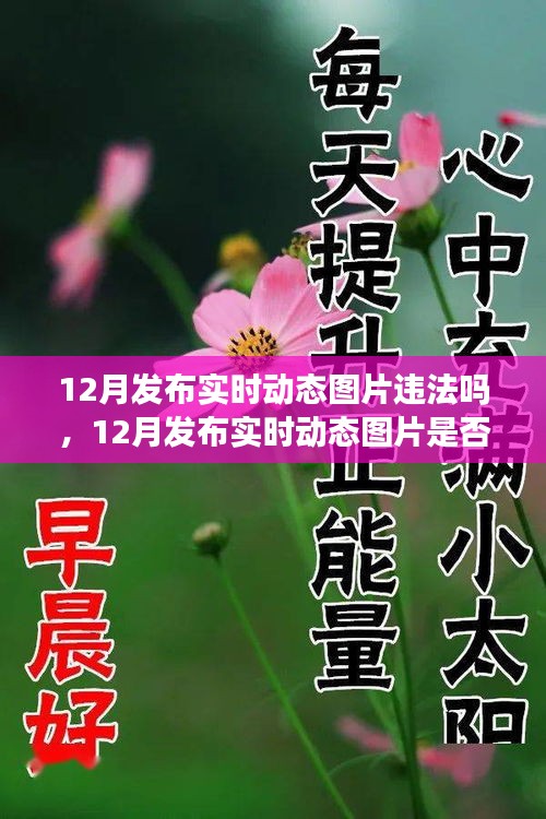 解讀，實(shí)時(shí)動(dòng)態(tài)圖片發(fā)布是否違法？關(guān)于12月發(fā)布實(shí)時(shí)動(dòng)態(tài)圖片的法規(guī)與案例分析