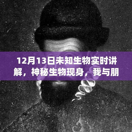未知生物揭秘，神秘現(xiàn)身與溫馨探險之旅