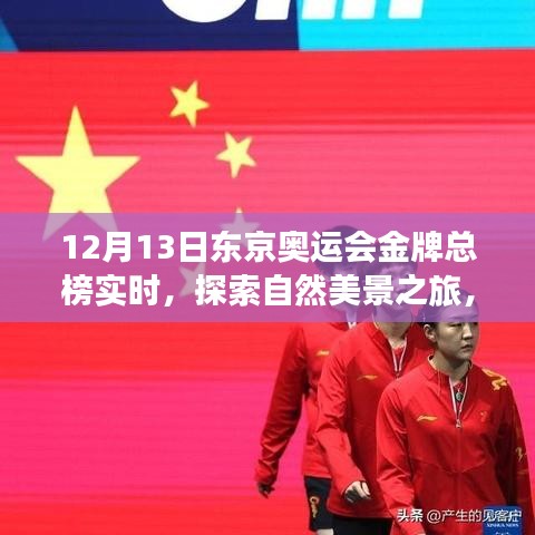東京奧運(yùn)會(huì)金牌總榜下的心靈洗禮與自我發(fā)現(xiàn)之旅，自然美景的探索之旅（實(shí)時(shí)更新）