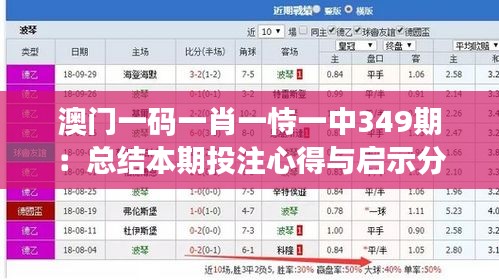 澳門一碼一肖一恃一中349期：總結(jié)本期投注心得與啟示分享