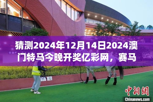 猜測2024年12月14日2024澳門特馬今晚開獎億彩網(wǎng)，賽馬概率游戲的冒險之旅