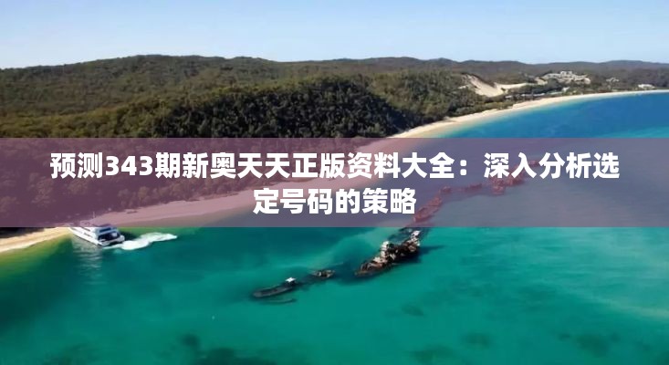 預(yù)測343期新奧天天正版資料大全：深入分析選定號碼的策略
