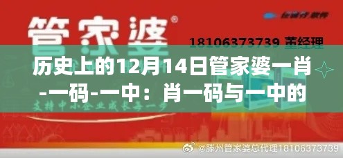 歷史上的12月14日管家婆一肖-一碼-一中：肖一碼與一中的合作與共贏