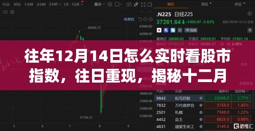 揭秘十二月十四日股市指數(shù)的實時觀察之旅，歷史數(shù)據(jù)與當日重現(xiàn)分析