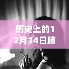 歷史上的十二月十四日，肺炎動態(tài)壁紙與動漫壁紙店的探秘之旅