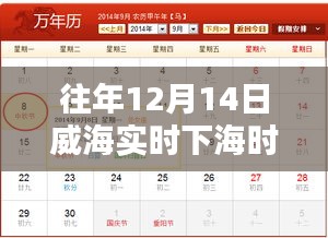 威海暖陽海灣奇遇，12月14日下海時間表揭秘