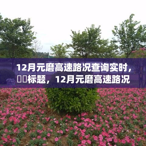 12月元磨高速路況實時更新，與自然美景共舞的心靈寧靜之旅。