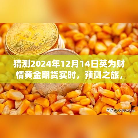 解讀英為財情黃金期貨市場展望，預(yù)測黃金期貨未來走勢，探尋黃金市場趨勢——聚焦2024年12月14日實時動態(tài)分析之旅