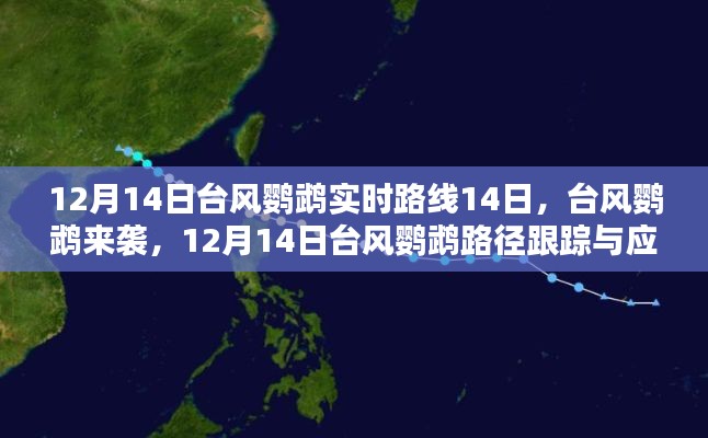 臺風鸚鵡來襲，應對指南與實時路徑跟蹤（初學者與進階用戶版）