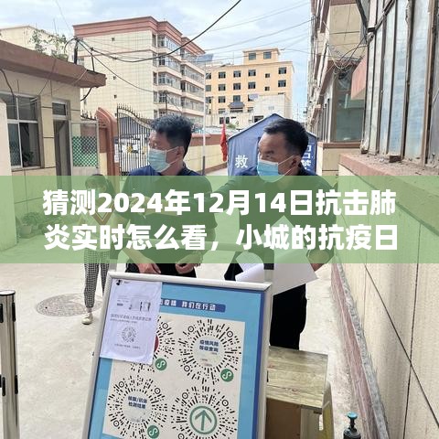 2024年12月14日小城抗疫日記，抗擊肺炎實時觀察與溫馨抗疫時光