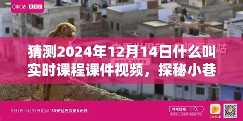 探秘實(shí)時(shí)課程課件視頻，小巷深處的寶藏與特色小店的奇妙邂逅，2024年12月14日的探索之旅