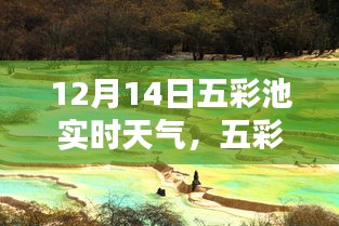 五彩池畔冬日暖陽，12月14日實時天氣報告