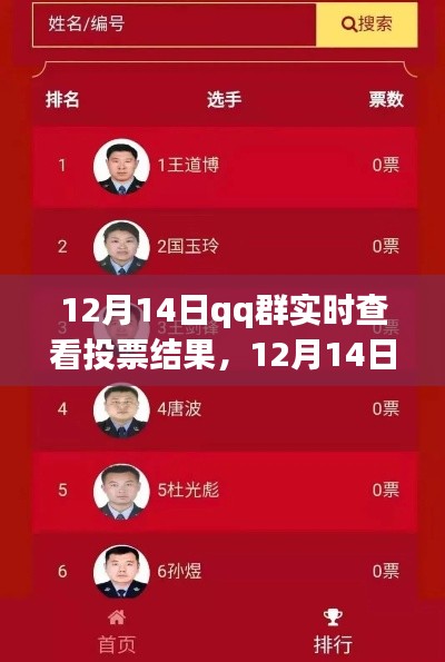 12月14日QQ群實時投票結(jié)果查看功能深度評測與介紹
