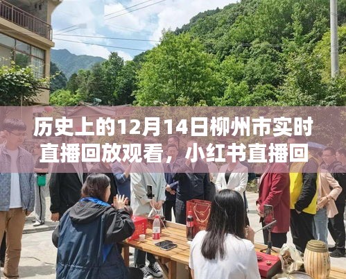 柳州市歷史時刻探尋，12月14日直播回放與值得銘記的瞬間