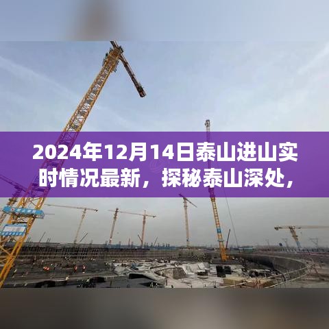 探秘泰山深處，小巷特色小店與最新進(jìn)山實(shí)時(shí)情況揭秘