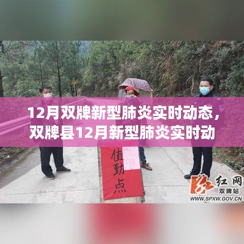 雙牌縣十二月新型肺炎實(shí)時(shí)動(dòng)態(tài)概覽，背景、進(jìn)展與影響分析