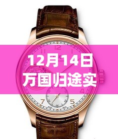 12月14日萬國歸途實時票房深度解析，表現(xiàn)、特性、體驗、競品對比及用戶群體全面剖析