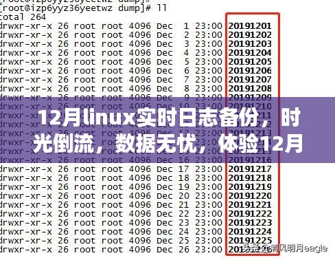 體驗Linux實時日志備份前沿科技魅力，時光倒流無憂數(shù)據(jù)保障在十二月