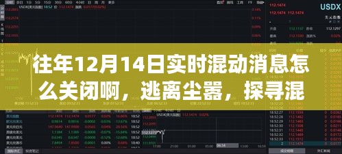 逃離塵囂之旅，探尋混動(dòng)之美與關(guān)閉實(shí)時(shí)混動(dòng)消息指南