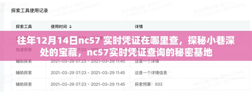 探秘往年12月14日nc57實時憑證查詢的秘密基地，小巷深處的寶藏大揭秘