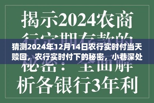 農行實時付，揭秘特色贖回與小巷深處的秘密小店探秘