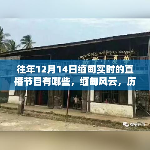 歷年12月14日緬甸直播節(jié)目回顧，緬甸風(fēng)云與直播紀(jì)實(shí)