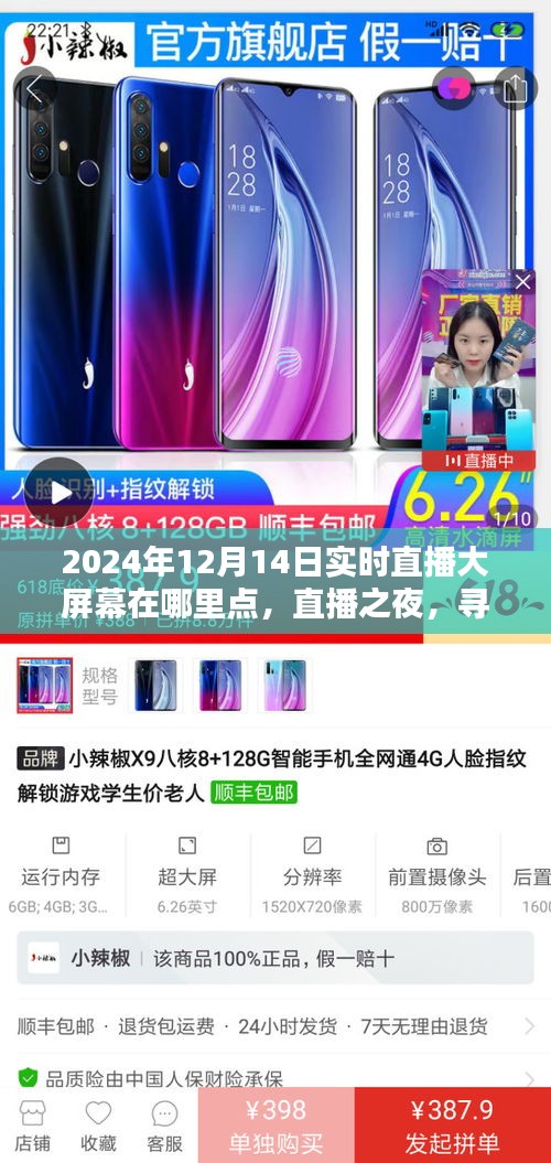 直播之夜，尋找特別的實時陪伴，2024年12月14日直播大屏幕地點揭曉