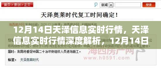 天澤信息實時行情解析，深度剖析與特殊篇章（12月14日）