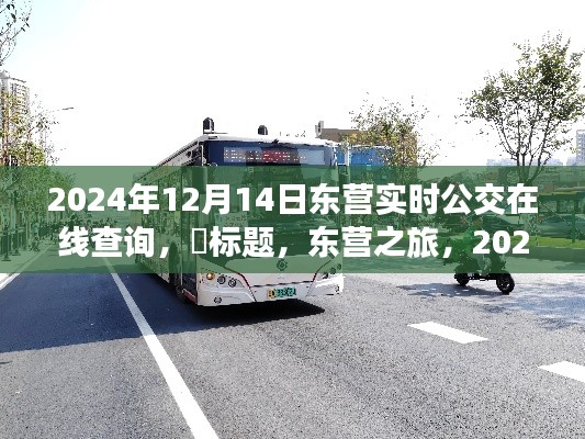 東營(yíng)公交實(shí)時(shí)查詢系統(tǒng)，探尋心靈靜謐角落的公交之旅